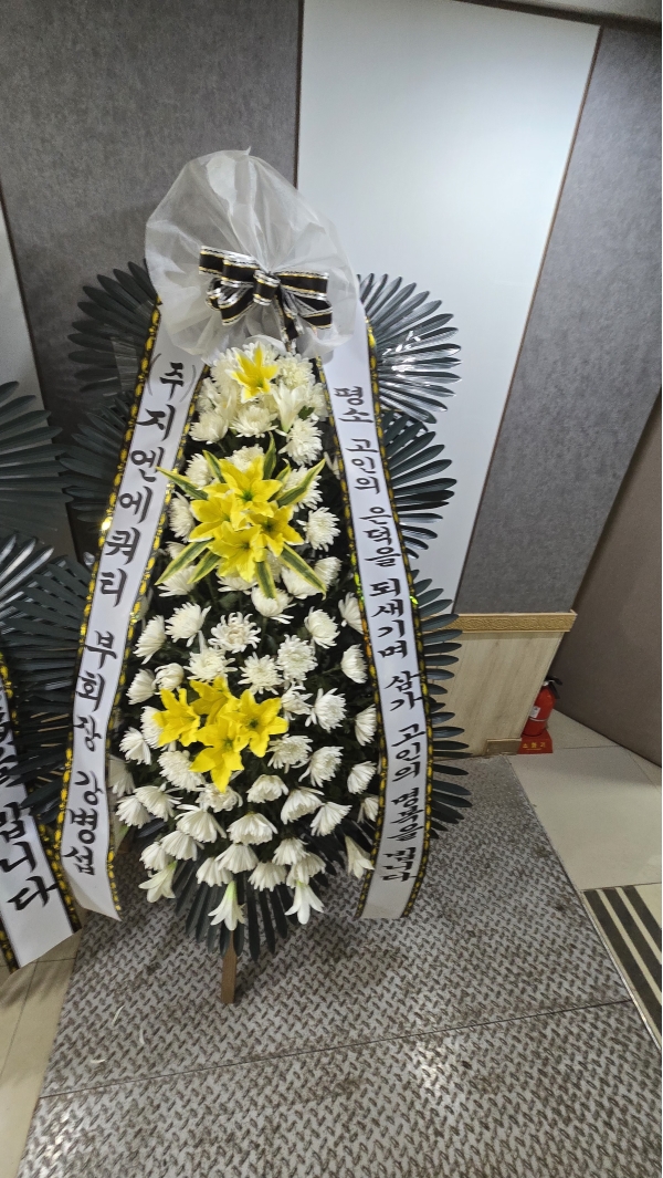 ������ ���� ���� 3�� ȭȯ