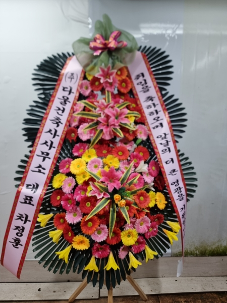 ����3�ܱ⺻ȭȯ �ɹ�� ���� 