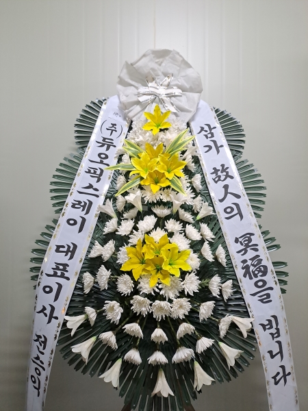 ������ 3�� ȭȯ (�⺻��) - �ﰡ ������ ������ �ǻ����... �ɹ�� ���� 