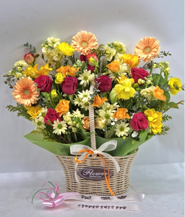 ����3�ܱ⺻ȭȯ �ɹ�� ���� 