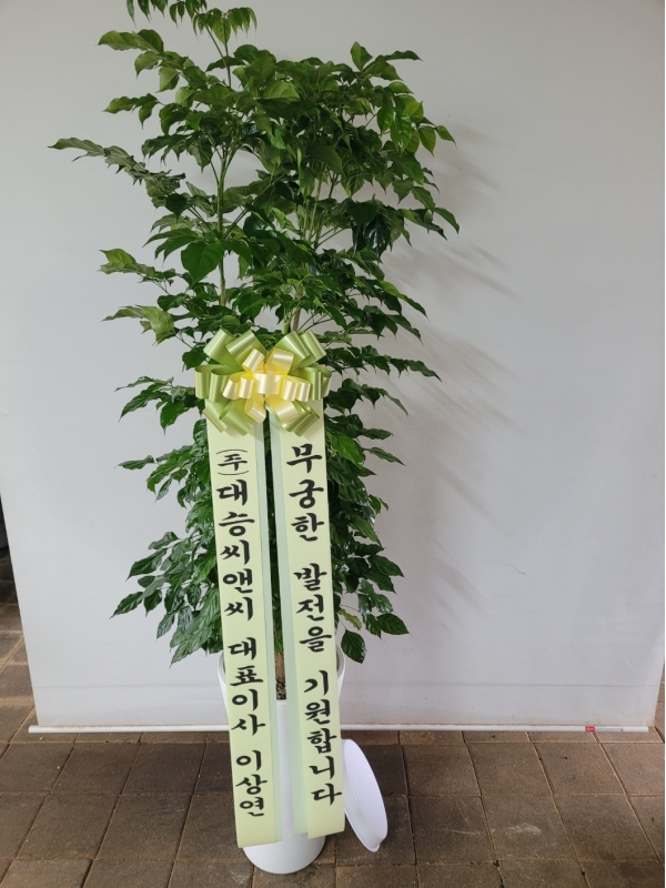 �������� ������õ - ���� �캸��A �ɹ�� ���� 