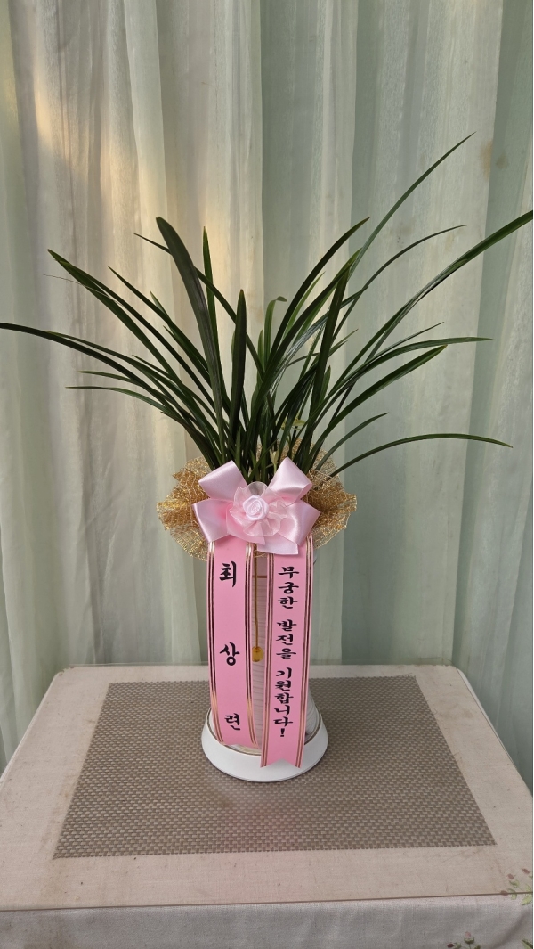 [�λ��̵� ��õ] �Ͼ���� �Ǿ�� ���� ����� �ɹ�� ���� 