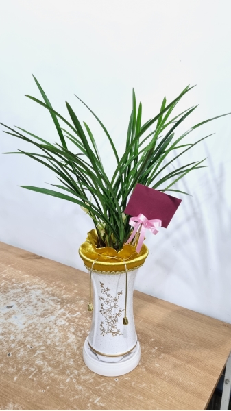 [�λ��̵� ��õ] �Ͼ���� �Ǿ�� ���� ����� �ɹ�� ���� 