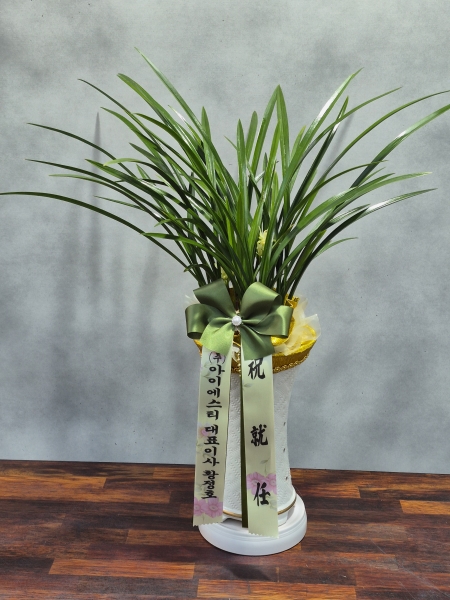 [�λ��̵� ��õ] ���� ���� �Ǿ��ִ� ����� �ɹ�� ���� 