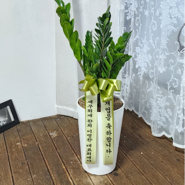 �������� ������õ - �̱׷��� ������ C �ɹ�� ���� 