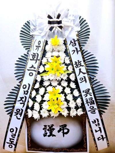 ������ ���� ���� 3�� ȭȯ �ɹ�� ���� 