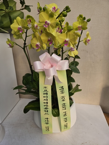 ������ ������ ����� �Բ� ������, ��� ȣ���� �ɹ�� ���� 