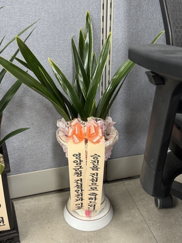 [�λ��̵� ��õ] �Ͼ���� �Ǿ�� ���� ����� �ɹ�� ���� 