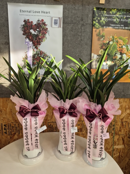 [�λ��̵� ��õ] �Ͼ���� �Ǿ�� ���� ����� �ɹ�� ���� 