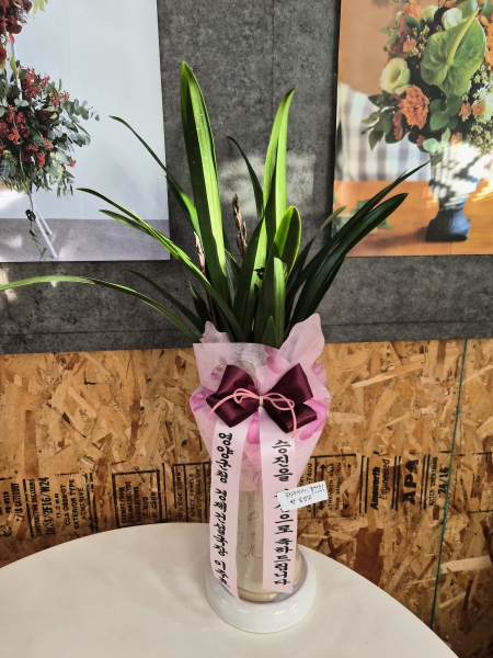 [�λ��̵� ��õ] �Ͼ���� �Ǿ�� ���� ����� �ɹ�� ���� 