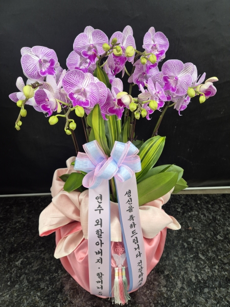 [����] ������ �������� ���ڱ� ���� - ���� ������ ����ũȣ���� (��) �ɹ�� ���� 