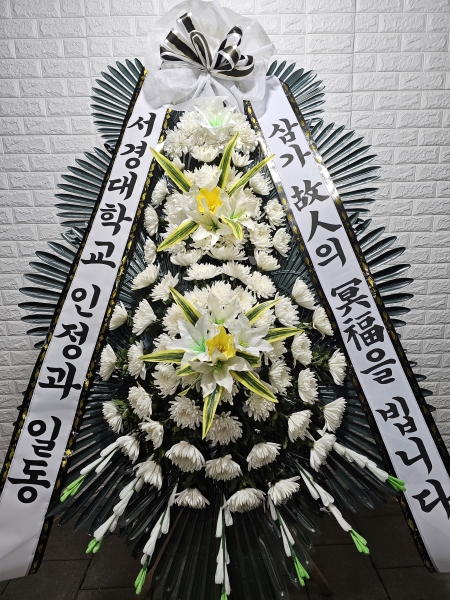 ������ ���� ���� 3�� ȭȯ �ɹ�� ���� 