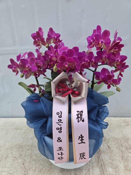 �ܿ￡ �Ƹ��ٿ� ���� �ǿ�� �ɺ���_pink �ɹ�� ���� 