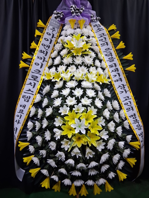 ������ 3�� ȭȯ (���� �� ) - �ﰡ ���Ǹ� ǥ�Ͽ���.... �ɹ�� ���� 