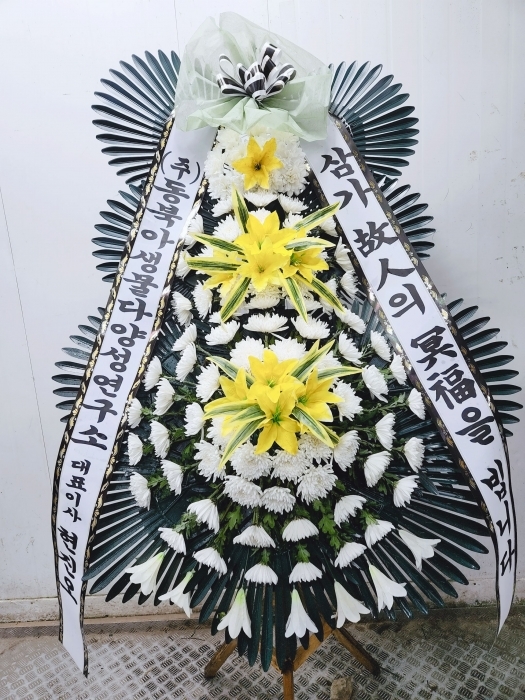 �����ô� ���� ǰ��! - �ö��119 ����3�ܱ⺻ȭȯ  (�������Ʈ) �ɹ�� ���� 