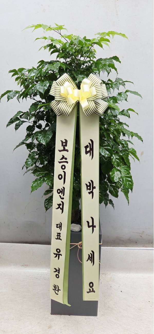 ��ġ�ʴ� �Ƹ��ٿ� ��� - �캸��(��) �ɹ�� ���� 