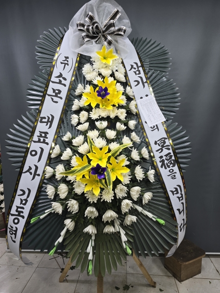 ������ ���� ����3��ȭȯ �ɹ�� ���� 