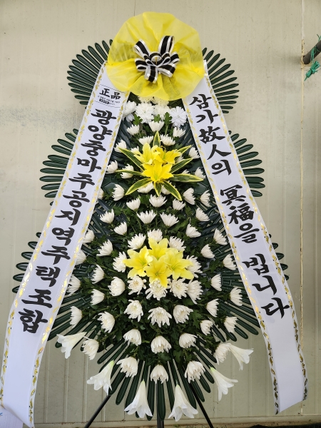 ���� �ֵ��� ���� ����ȭȯ �ɹ�� ���� 