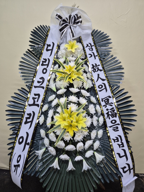 ������ ���� ���� 3�� ȭȯ �ɹ�� ���� 