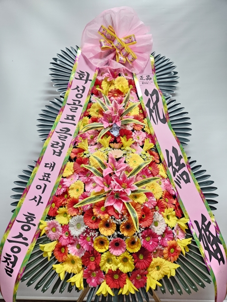 ����3�ܱ⺻ȭȯ �ɹ�� ���� 