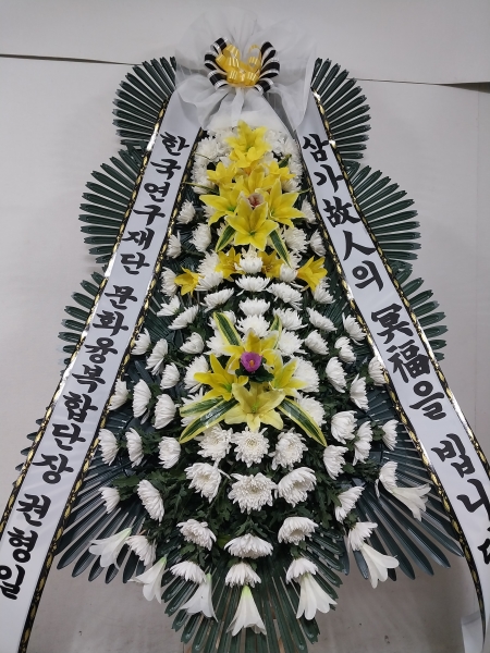 ���� �ֵ��� ���� ����ȭȯ �ɹ�� ���� 