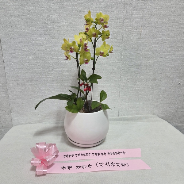 ��� ������ ���� ���� �ɹ�� ���� 