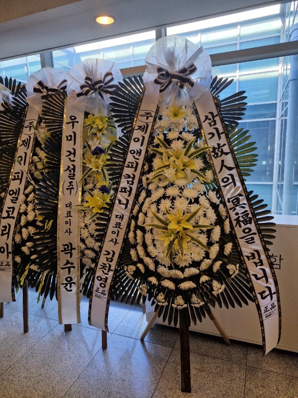 ������ ���� ���� 3�� ȭȯ �ɹ�� ���� 