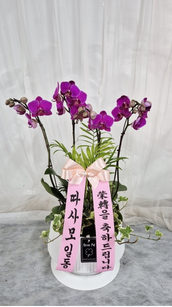 [����]�����ϴ� ���� ��� - �ɺ�ȫ���� ��õȫ (��) �ɹ�� ���� 