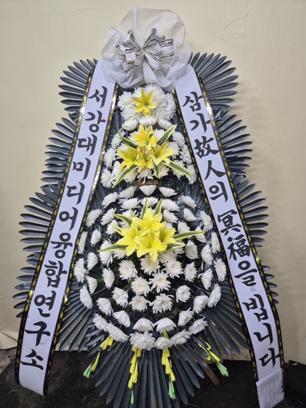 ������ ���� ���� 3�� ȭȯ