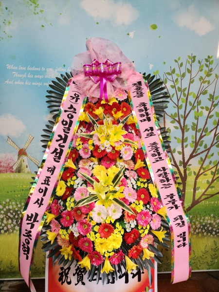 ȥ 3ȭȯ - (3 ⺻)λ  ο.... ɹ  