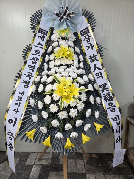 ���� �ֵ��� ���� ����ȭȯ �ɹ�� ���� 