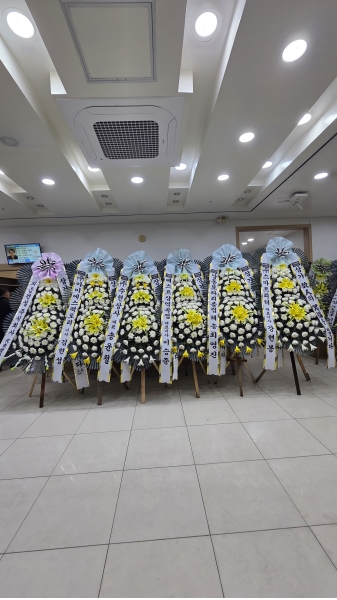 ���� �ֵ��� ���� ����ȭȯ �ɹ�� ���� 