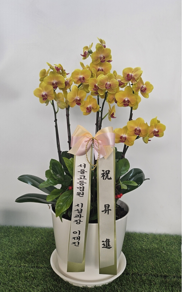 ������ ������ ����� �Բ� ������, ��� ȣ���� �ɹ�� ���� 