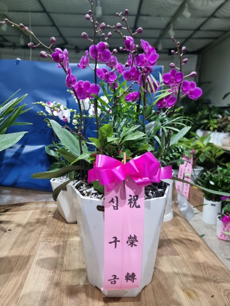 ������ ù������ ���ο� ������ �����ϴ�, ���� ��ũ ȣ���� ��õȫ �ɹ�� ���� 