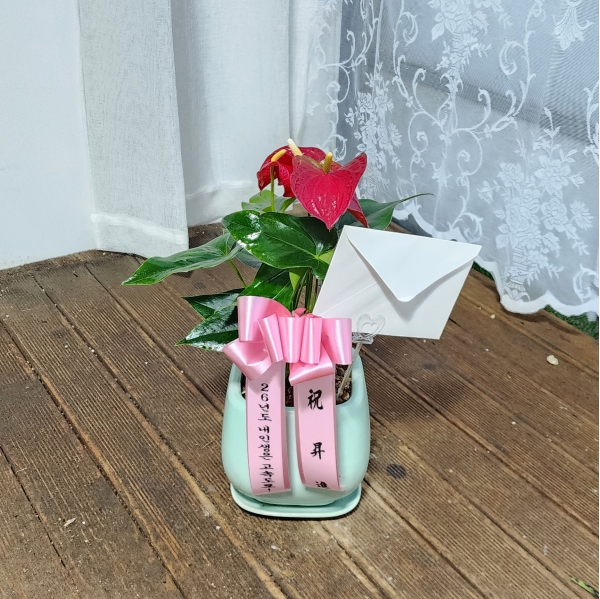 [������]Table deco. �׸�ȭ���� �Ƚ����� (* ȭ�� ����) �ɹ�� ���� 