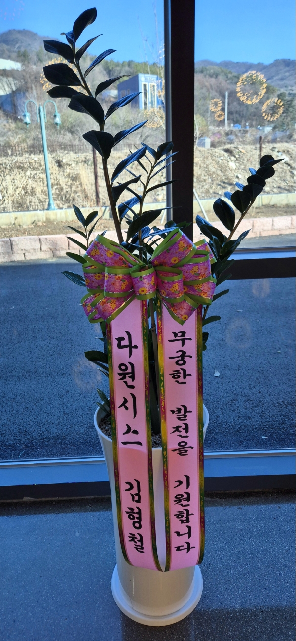 �������� ������õ - �̱׷��� ������ C �ɹ�� ���� 