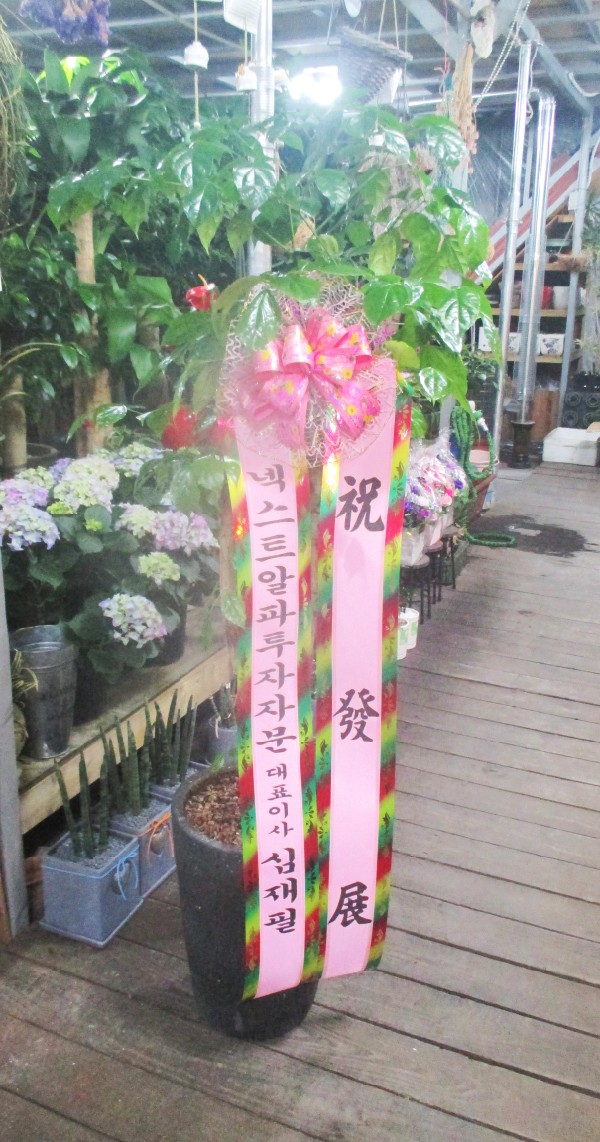 �������� ������õ - ���� �캸��A �ɹ�� ���� 