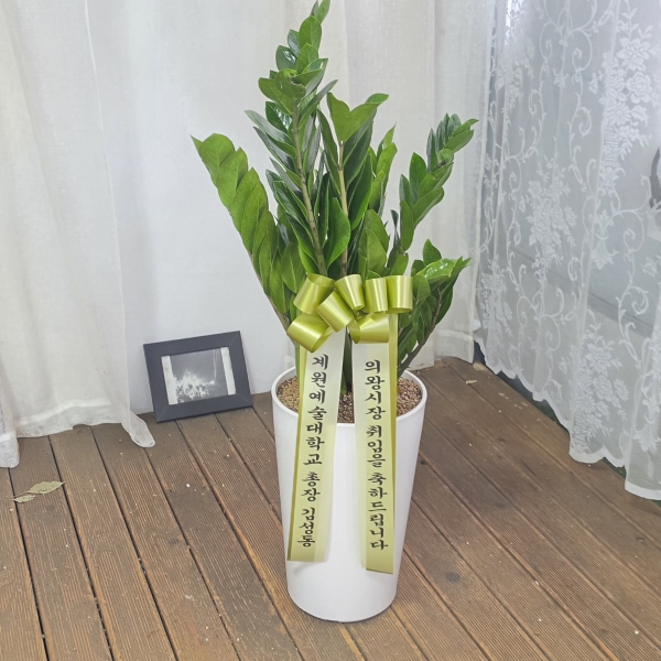 �������� ������õ - �̱׷��� ������ C �ɹ�� ���� 