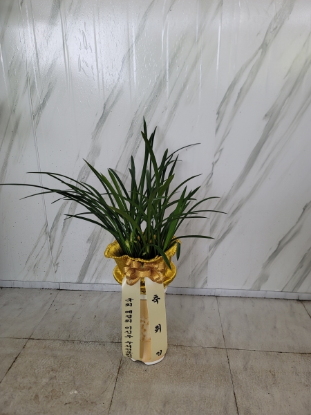 [�λ��̵� ��õ] ���� ǳ���ϰ� �Ǿ��ִ� ���� ����� �ɹ�� ���� 