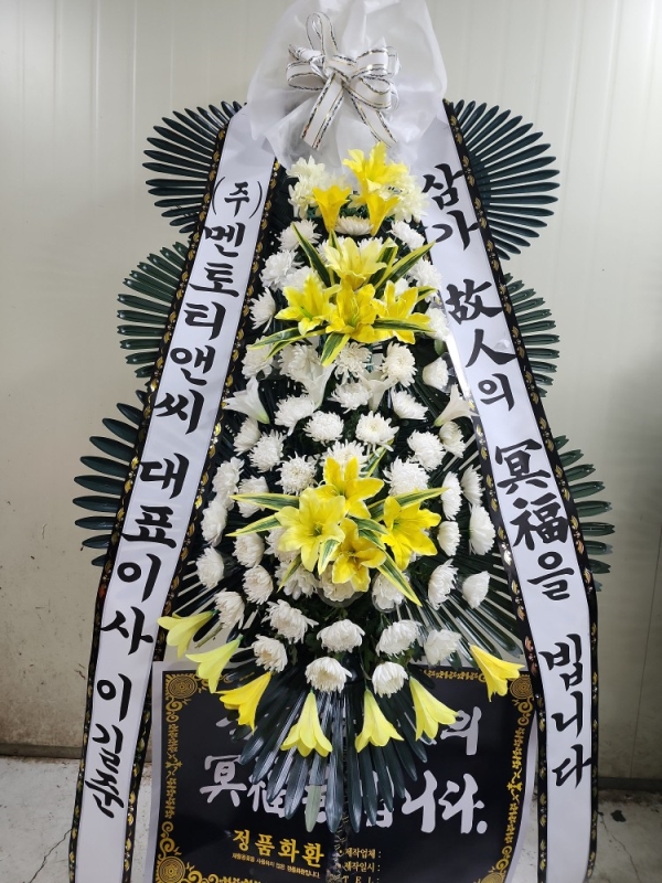 ������ ���� ���� 3�� ȭȯ �ɹ�� ���� 