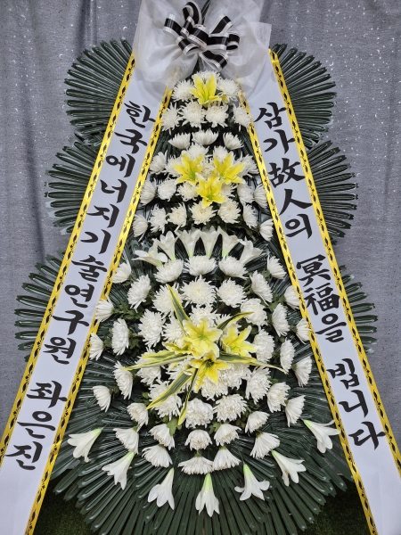 ������ ���� ���� 3�� ȭȯ �ɹ�� ���� 