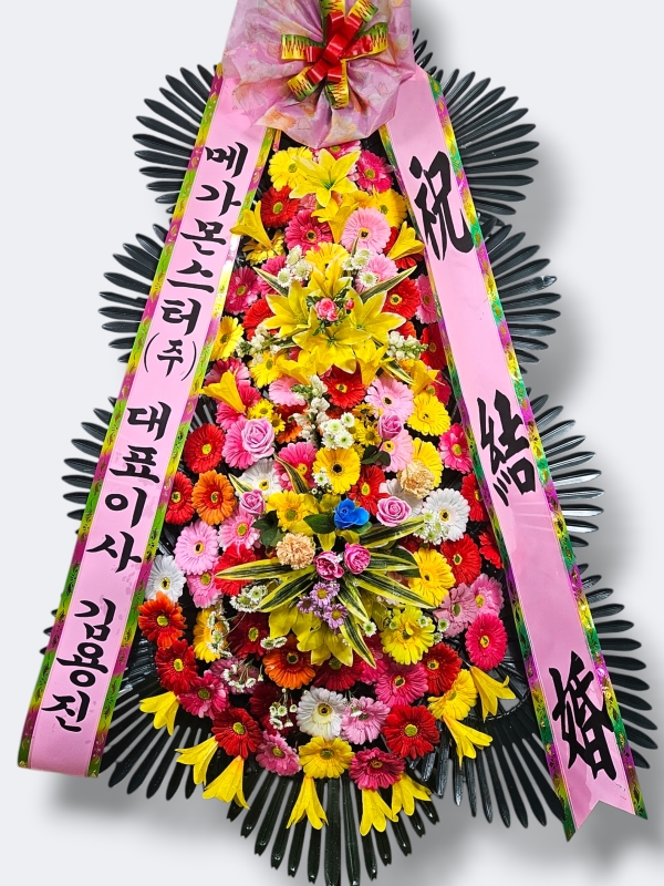 �����ôº��� ǰ��! - �ö��119 ����3��ȭȯ( �Ϲ��� ) �ɹ�� ���� 