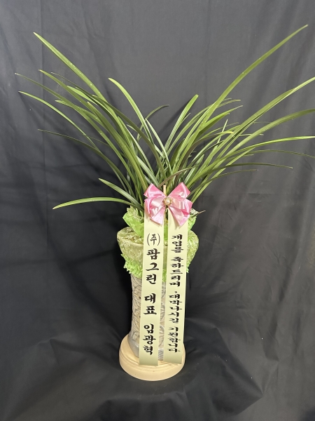 [λ̵ õ] Ͼ Ǿ ο  ɹ  