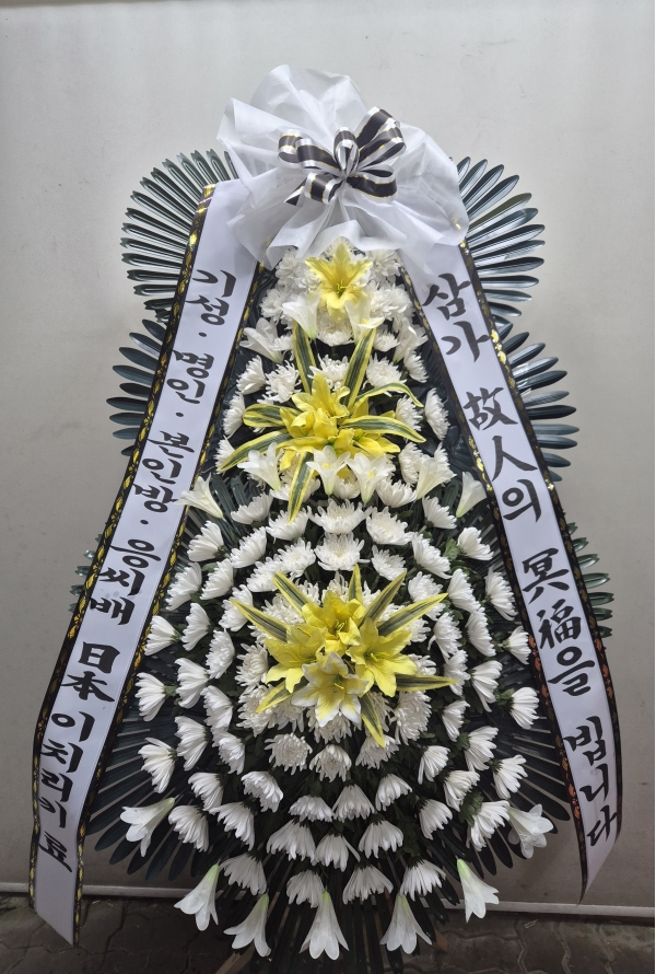 ô  ǰ! - ö119 3ȭȯ(׺Ʈ) ɹ  