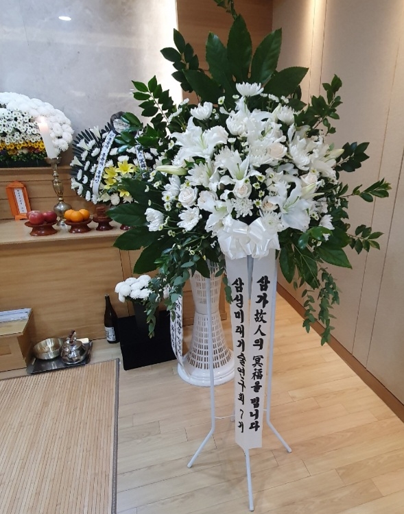 [ ȭȯ] A thousand stars ɹ  