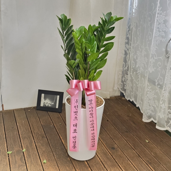 �������� ������õ - �̱׷��� ������ C �ɹ�� ���� 