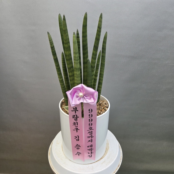 [����,�������,����ȭ�⺯��] �����ϴ� ���� ��� -  ������ȭ�ۿ� �� ��ƩŰ �ɹ�� ���� 
