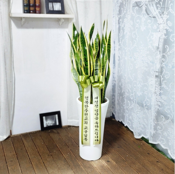  ġ ʰ ǰϰ - 꼼() ɹ  