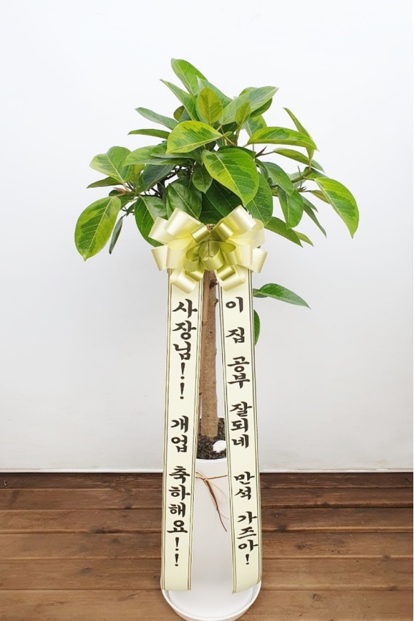 Office & nature �𰥰�������(��) (ȭ�⺯��) �ɹ�� ���� 