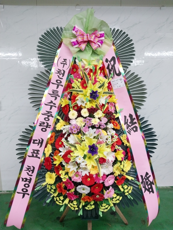 ȥ 3ȭȯ - (3 ⺻)λ  ο.... ɹ  